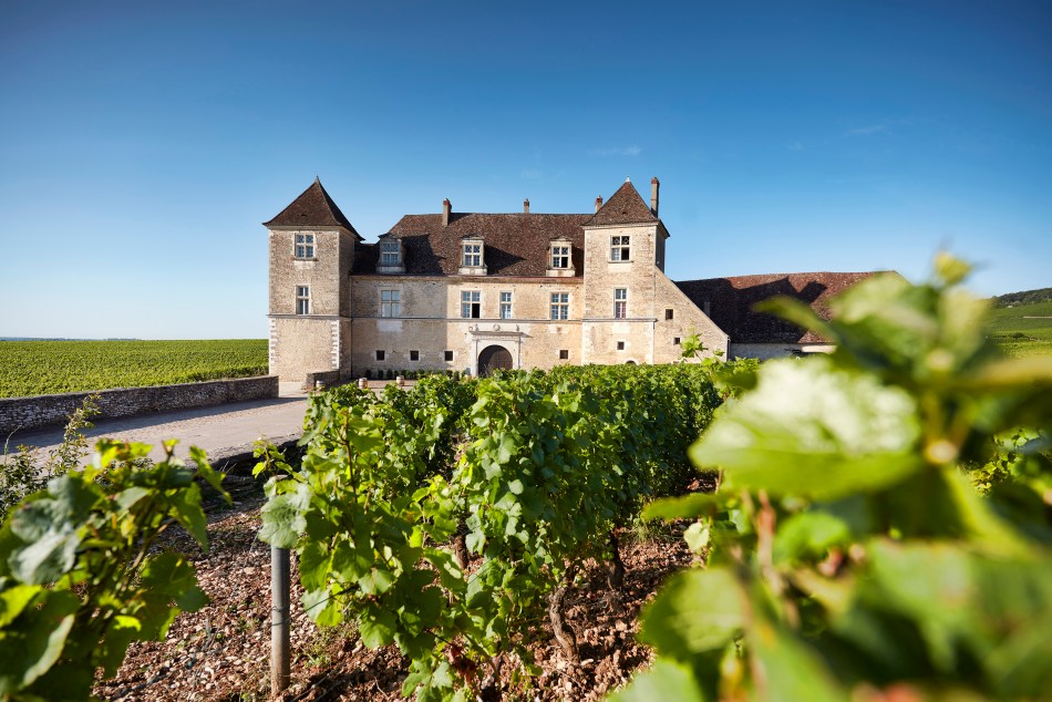 苏富比将为 Cîteaux Abbey 拍卖的独家 Clos de Vougeot 特酿